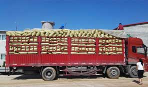 專(zhuān)業(yè)物流運(yùn)輸，保障發(fā)貨快速順暢